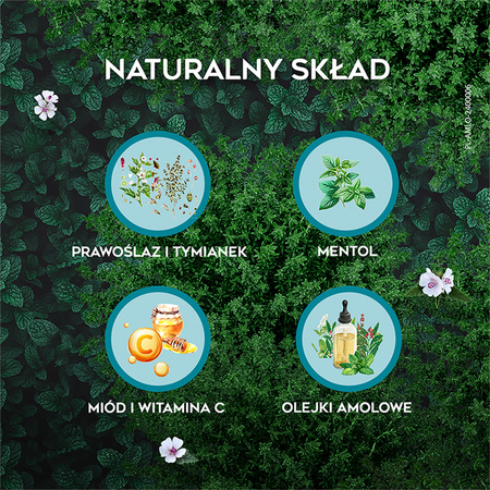 AMOLowe na gardło Pastylki d/ssania z miod