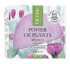 Krem do twarzy Lirene Power of Plants wygładzający Opuncja 50 ml 