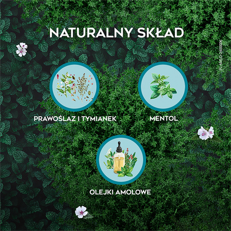 Amolowe pastylki do ssania na gardło x 16 sztuk