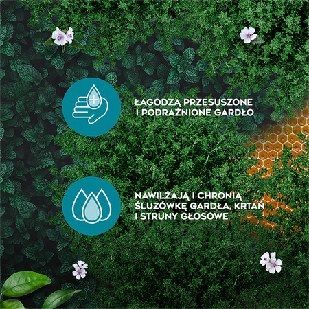 AMOLowe na gardło Pastylki d/ssania z miod