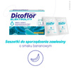 Dicoflor Elektrolity 10 saszetek